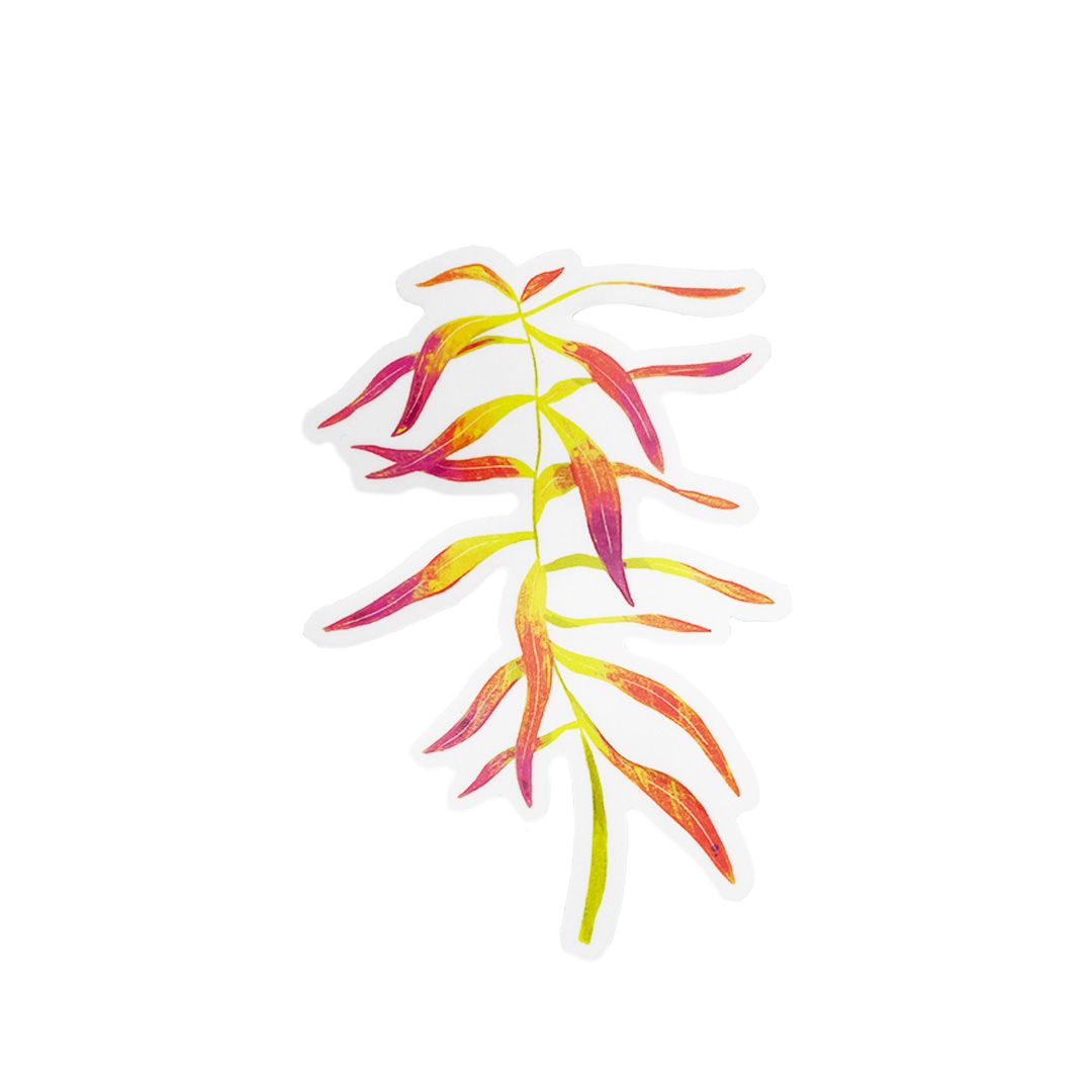 Sticker - Fall Fireweed
