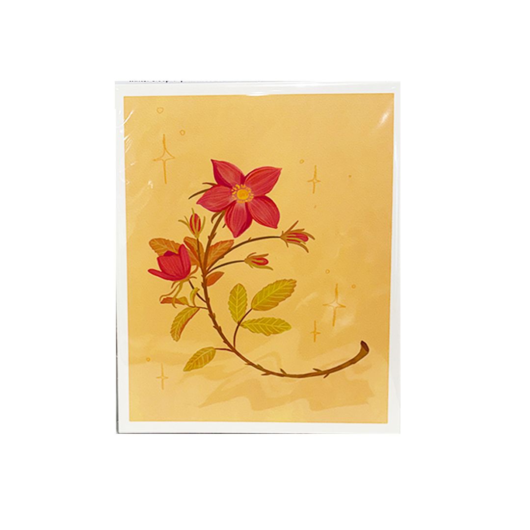 Print - Wild Rose