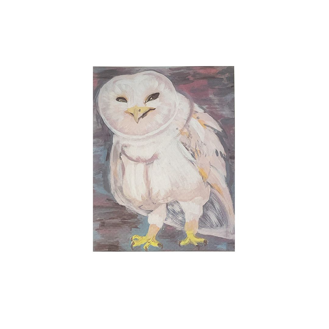 Postcard - Owl