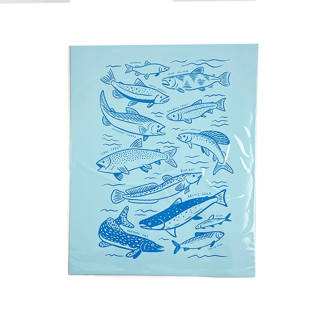 Print - Yukon Species: Water