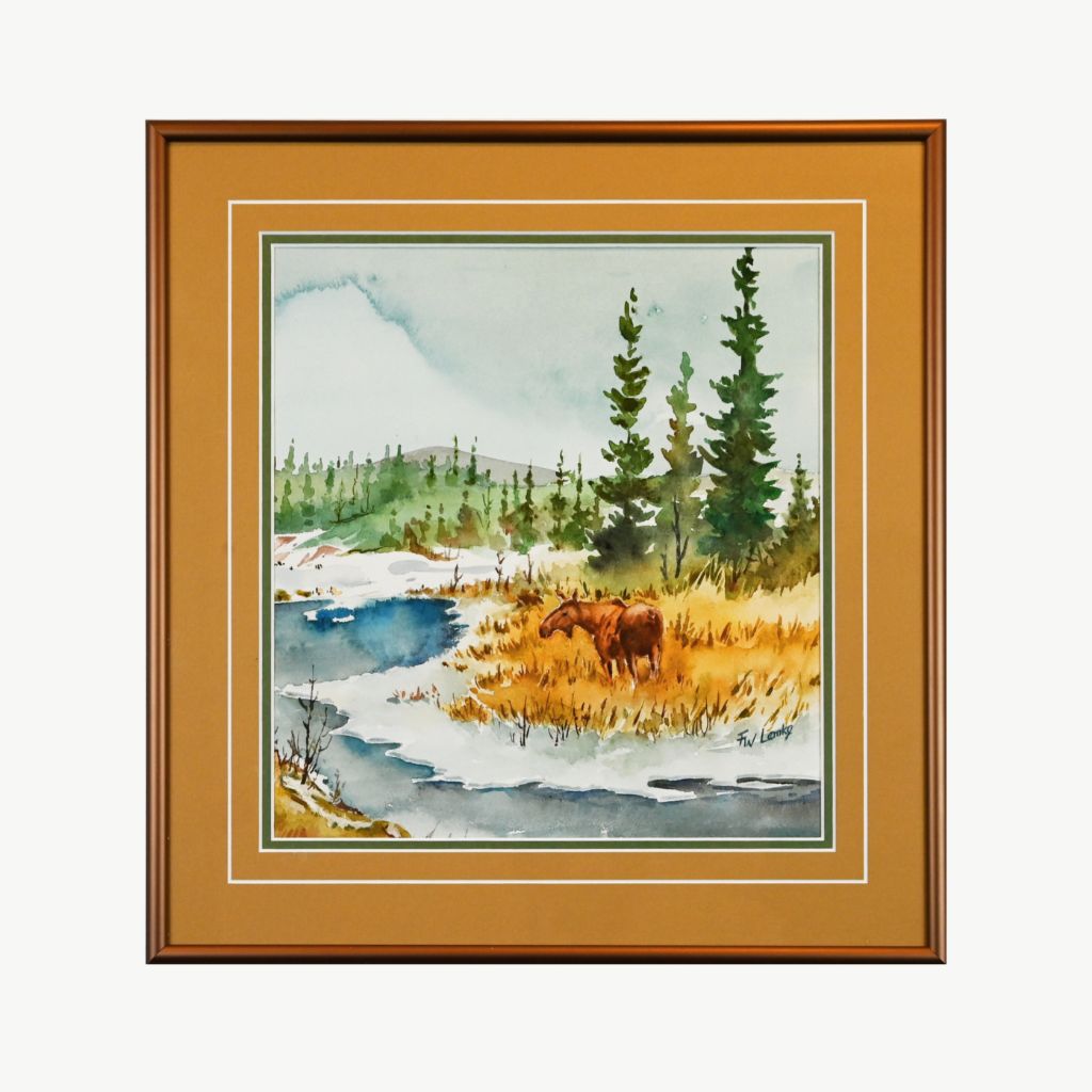Cow Moose By the River