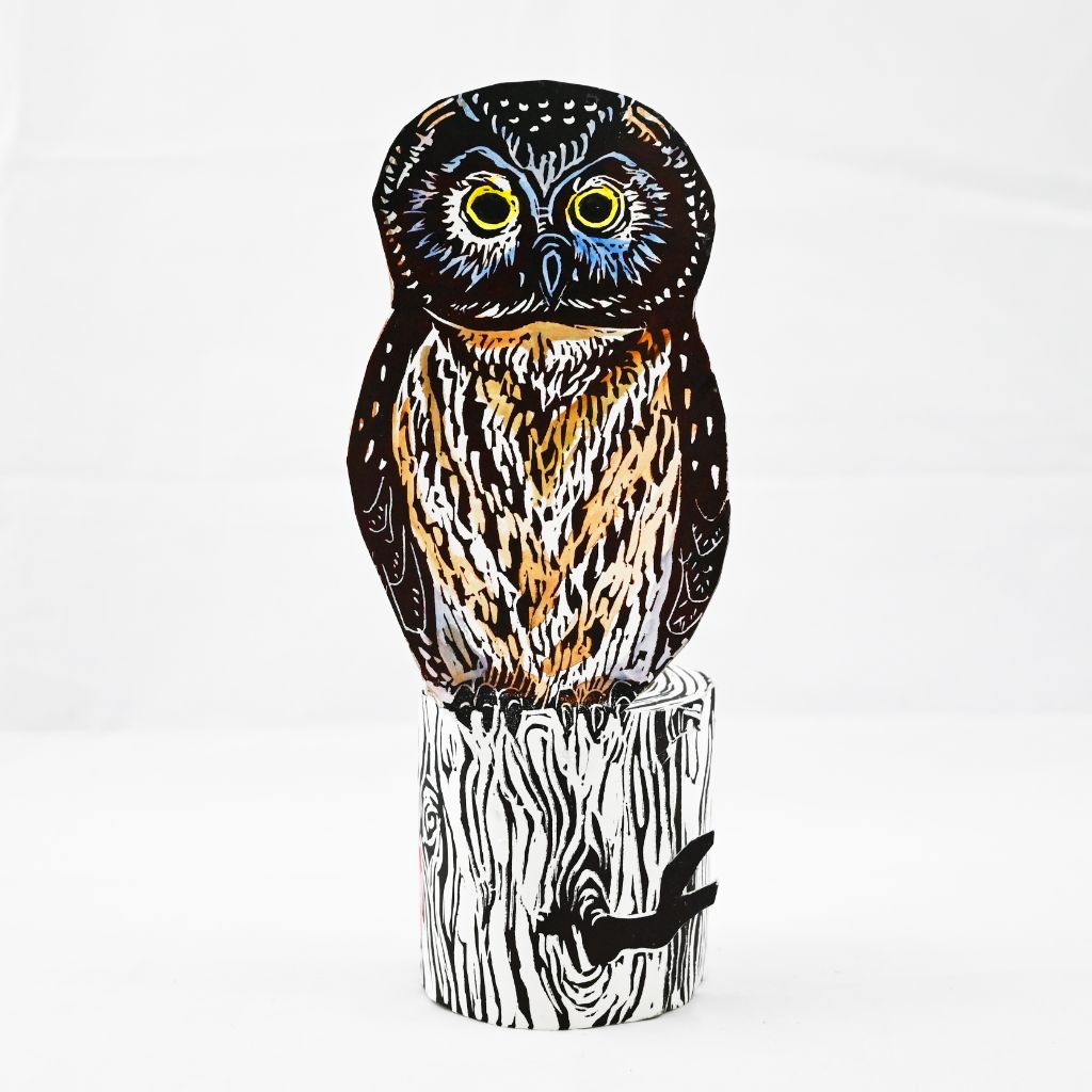 Boreal Owl