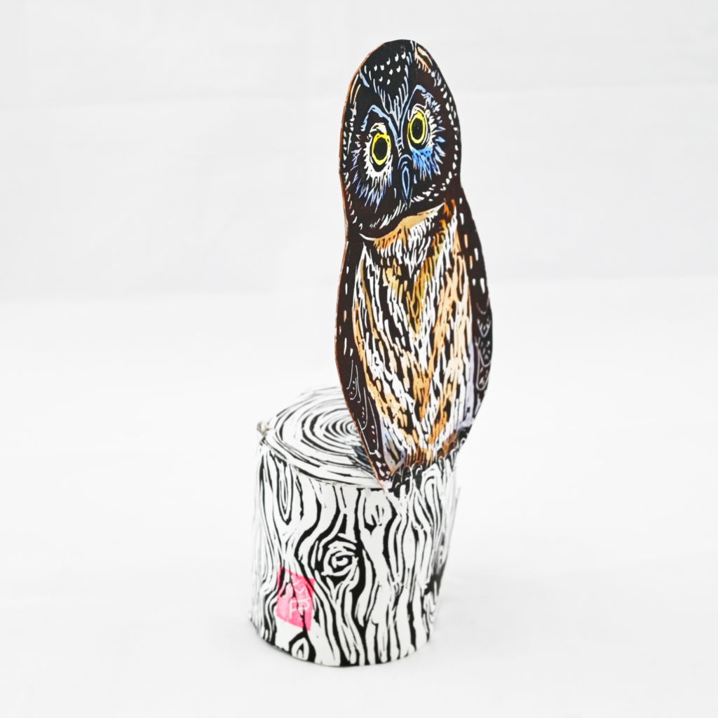 Boreal Owl