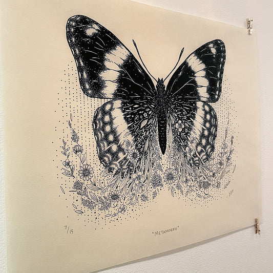 Metamorph (Limenitis Arthemis)