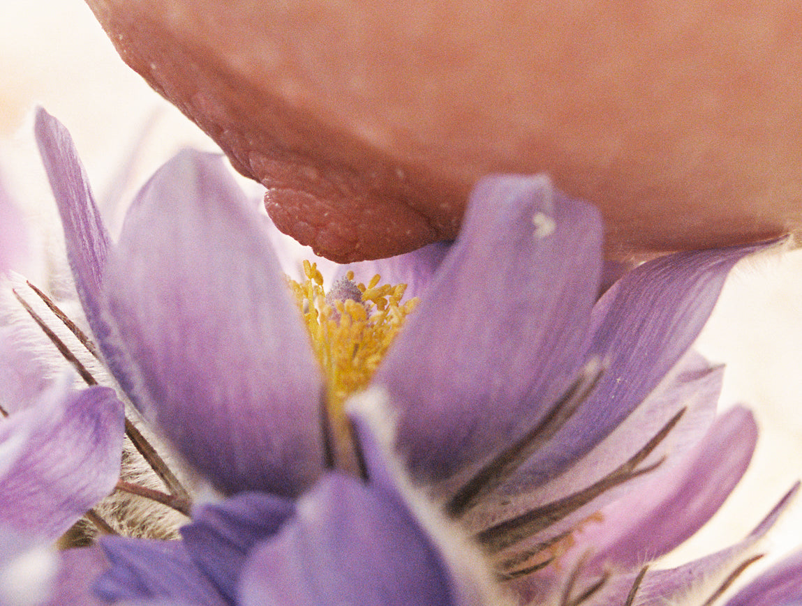 Nectar