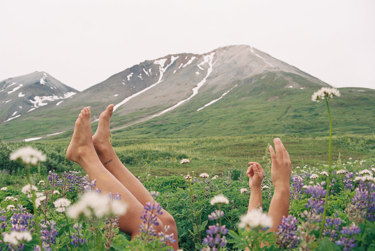 Lupine Dreams