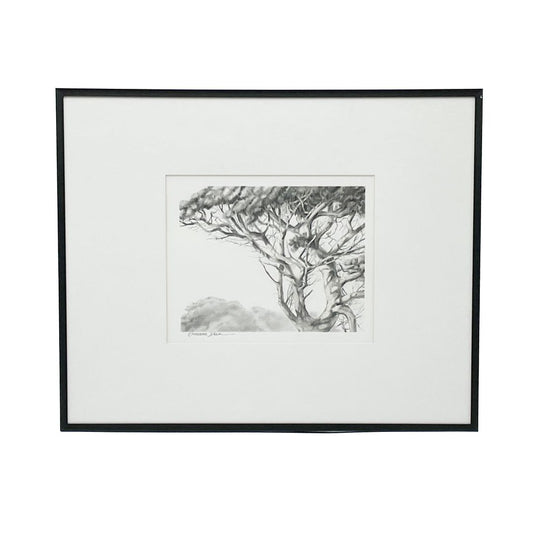 Amongst The Branches