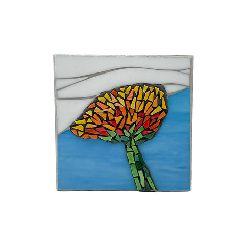 Calendula