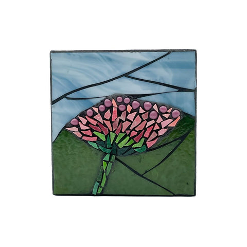 Coneflower