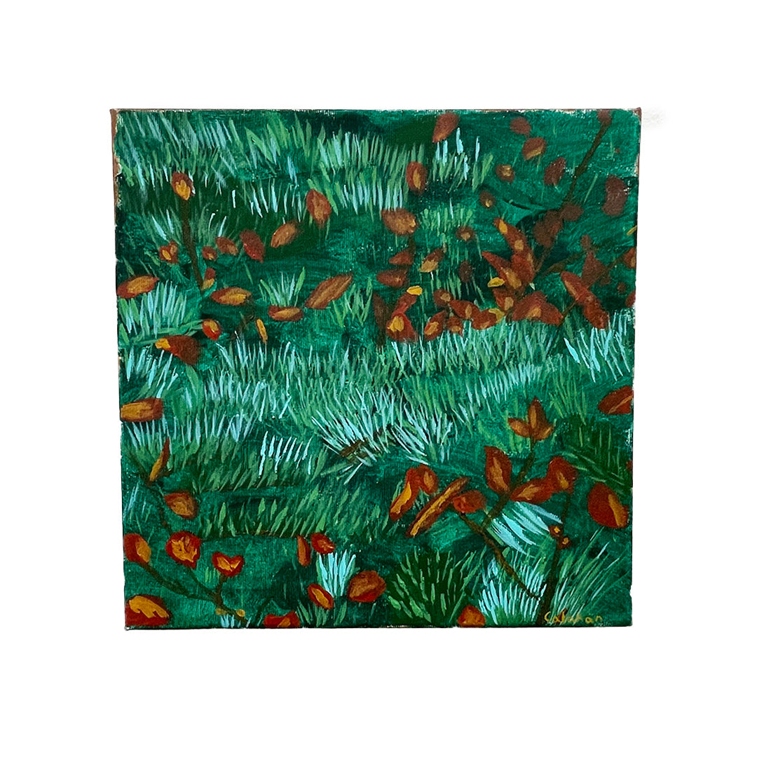 Alpine Shrub