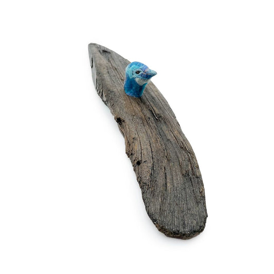 A Blue Bird Nesting