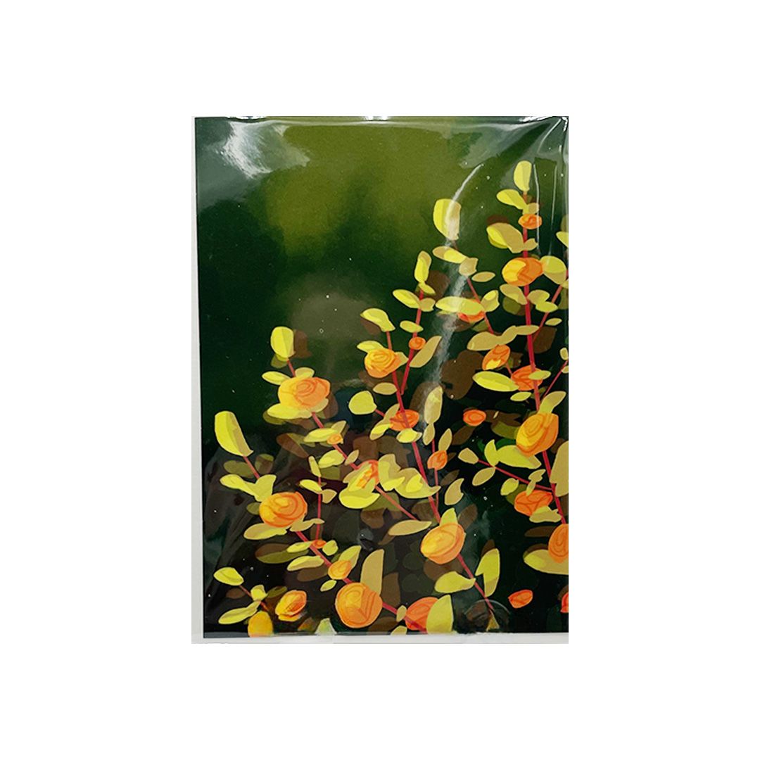 Print - Yellow Roses (5x7)
