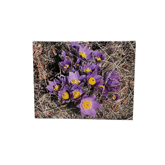Sure Signs of Spring