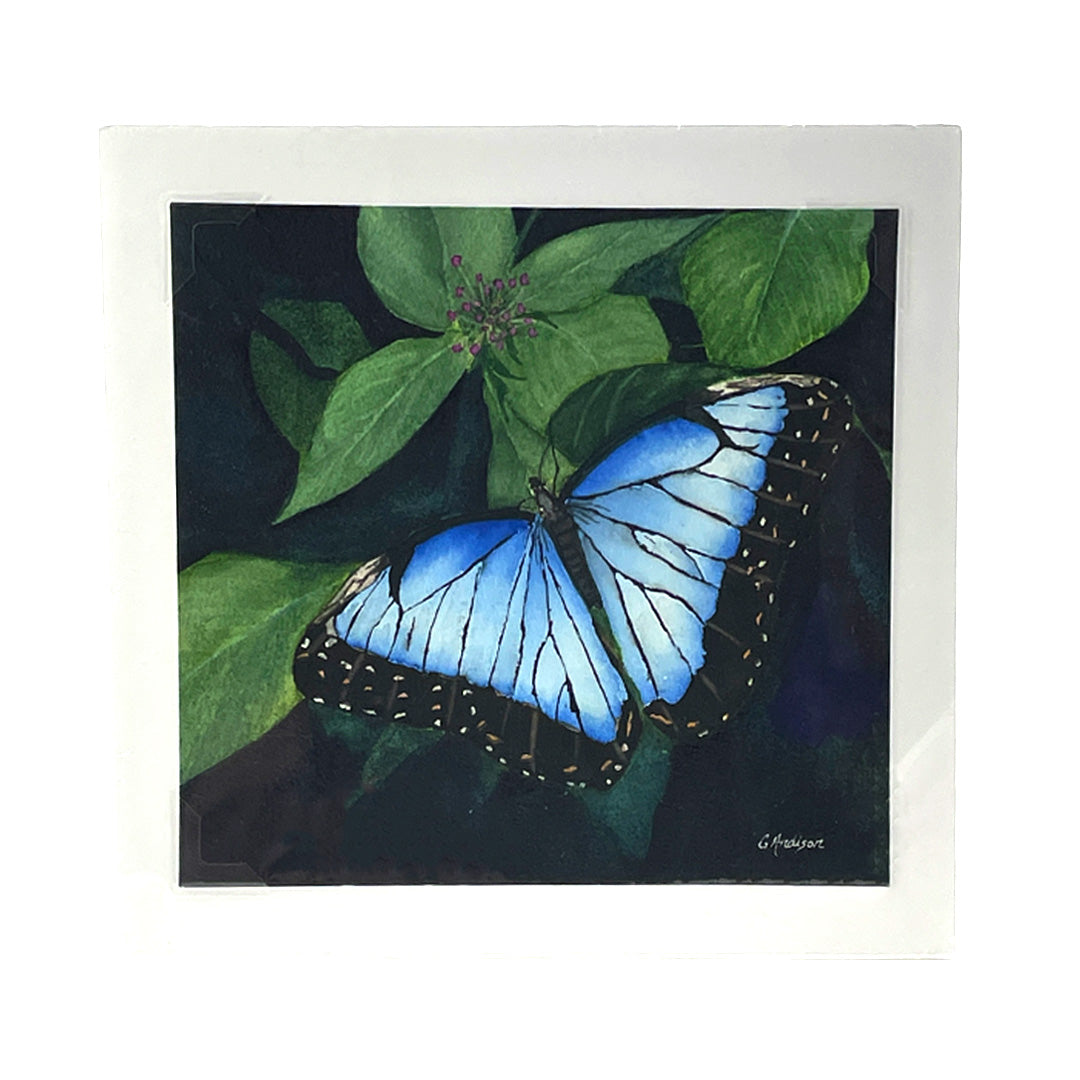 Blue Butterfly