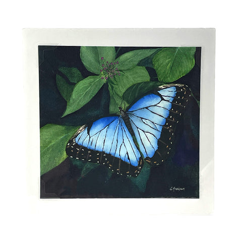 Blue Butterfly