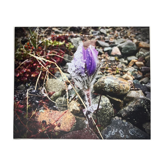 Sometimes It Snows in April