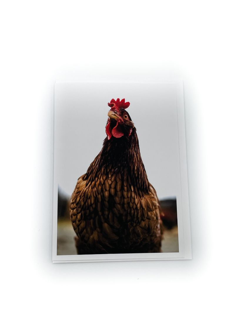 Card - Chicken