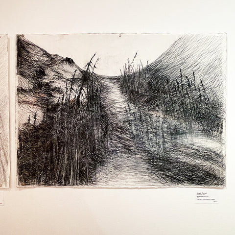 Burnt Forest
