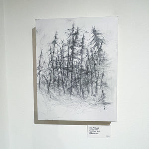 Forest Stand