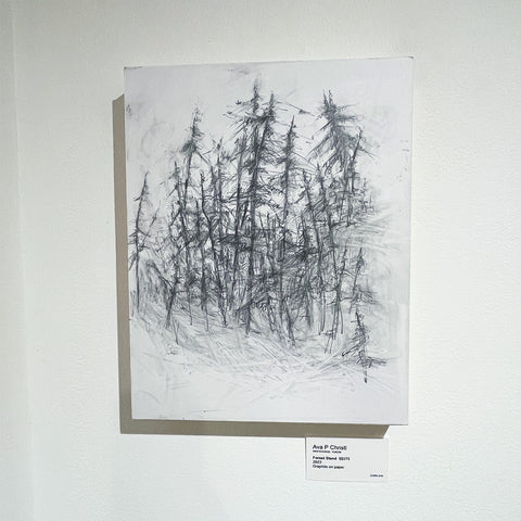 Forest Stand