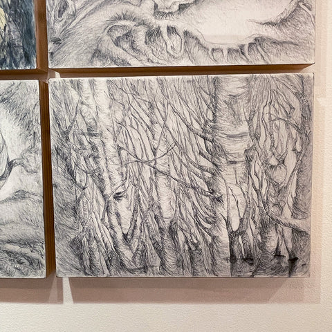Forested