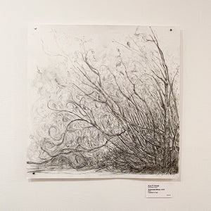 Ornamented Willows