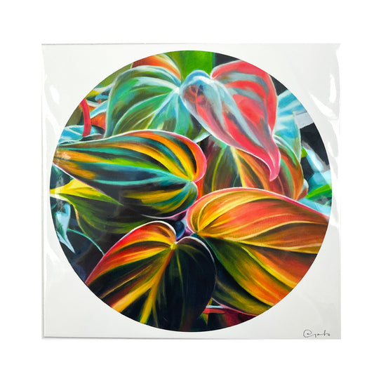 Print - Co-regulation