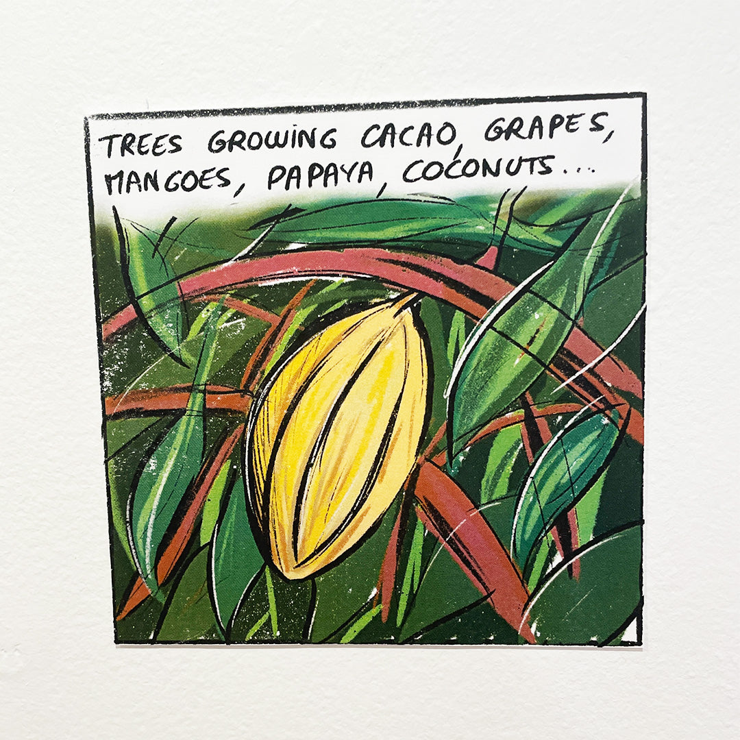 Daily Comics: Cuba