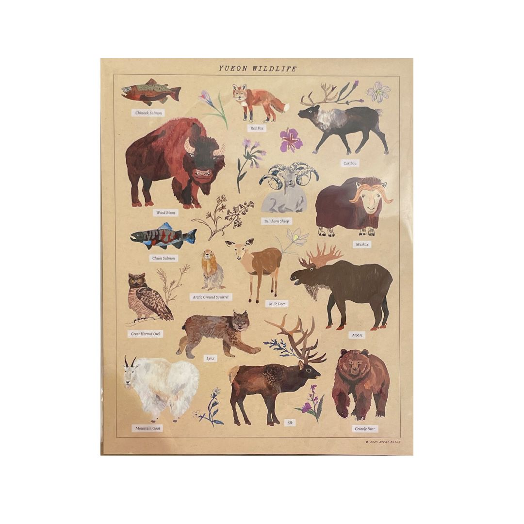 Print - Wildlife Poster