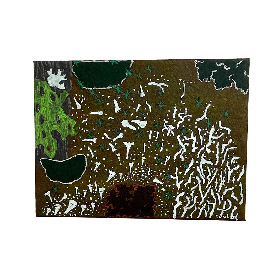 Forest Floor Party