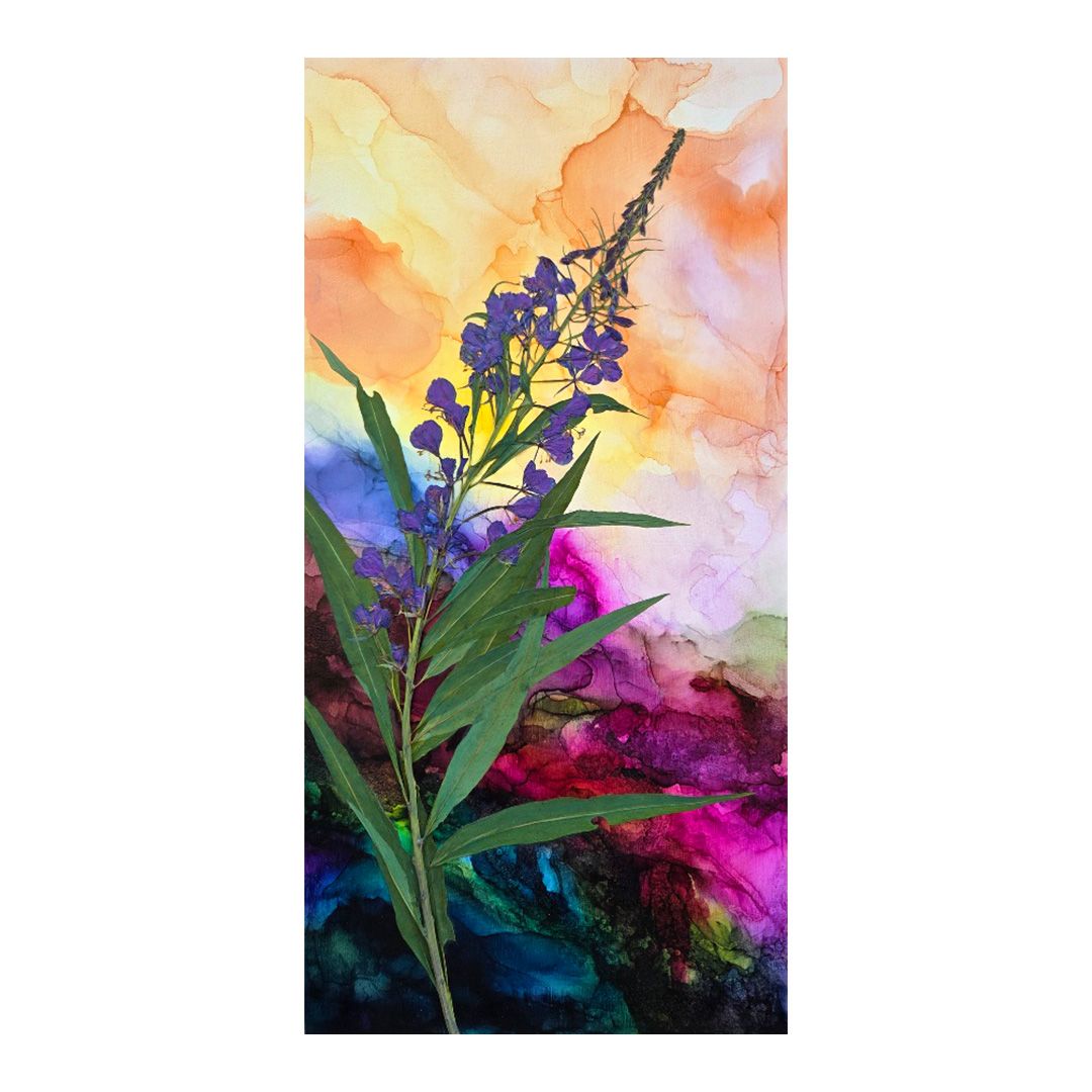 Magenta Fire, Sunset Bloom