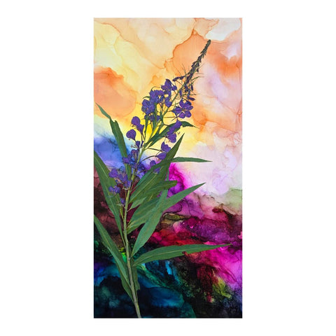 Magenta Fire, Sunset Bloom