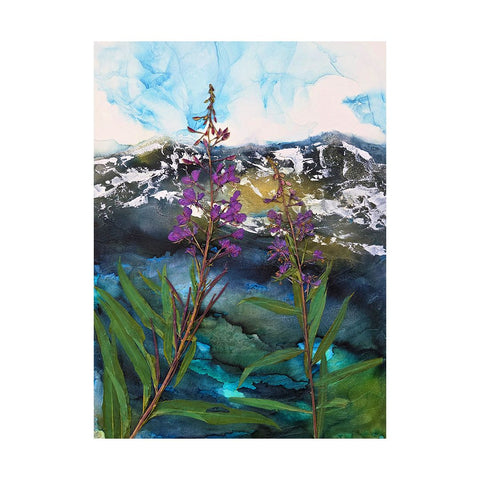 Fireweed's Pink Signal on the Blue Divide