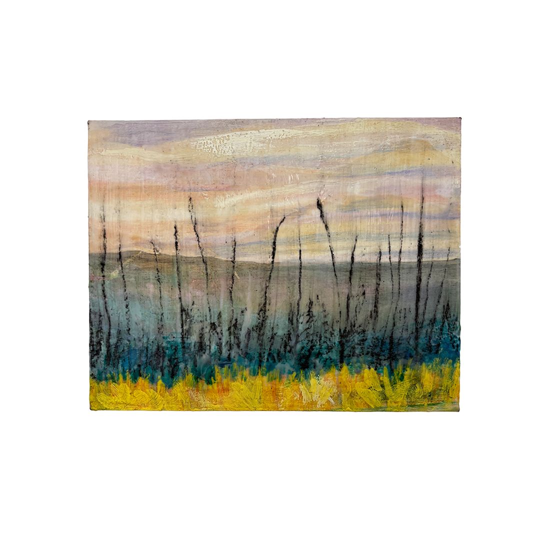 Past The Forest Fire