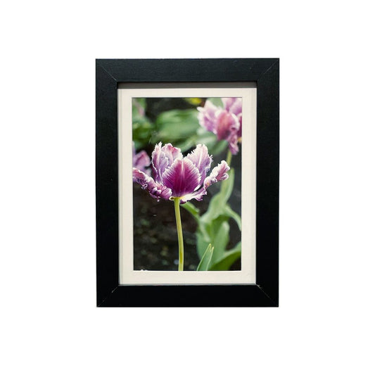 Tulip Festival 3