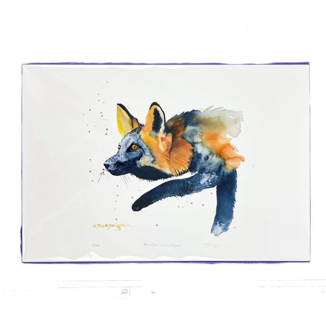 Fox Foot In The Snow