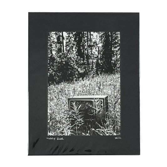 Photo - Morely River