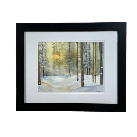 Morning in the Boreal Forest