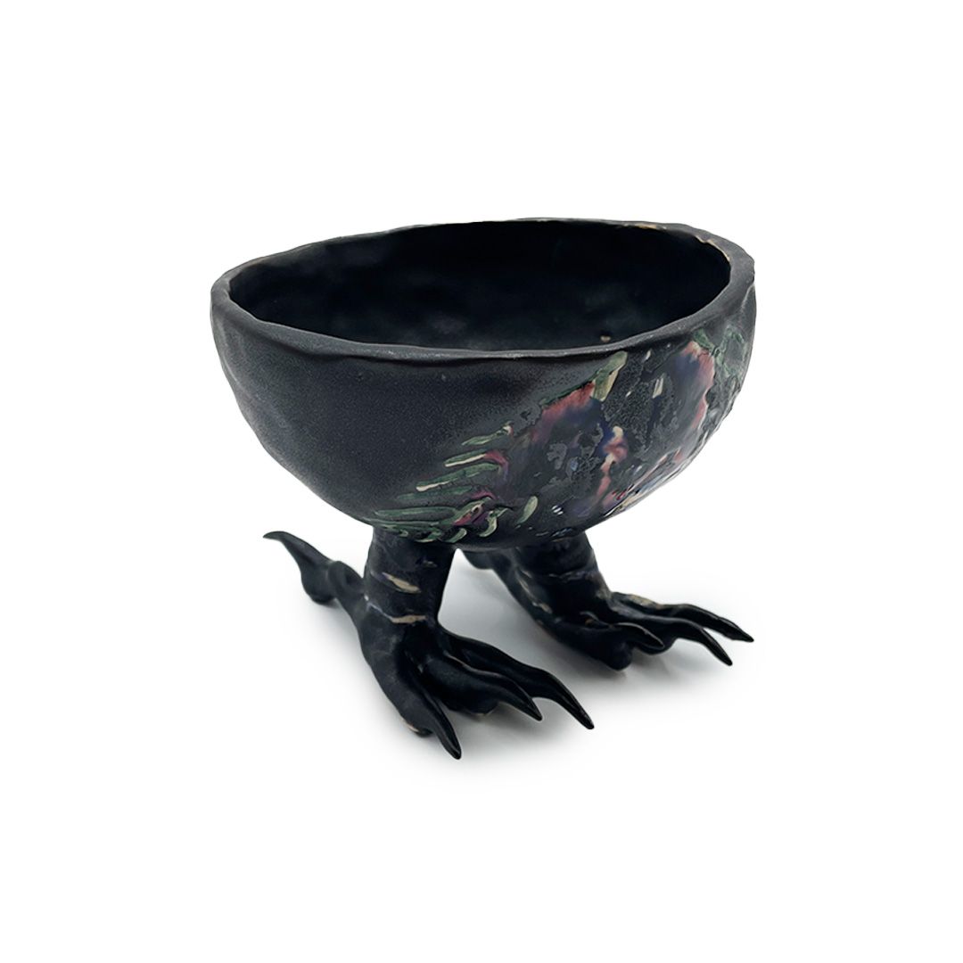 Nicole's Raven