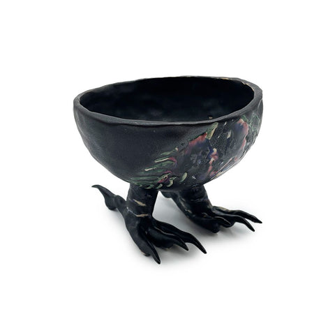 Nicole's Raven
