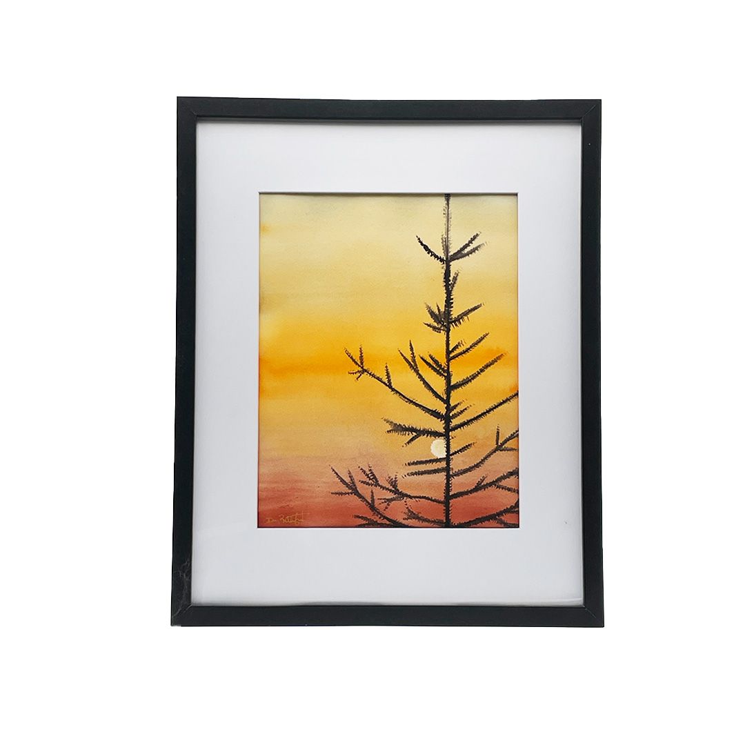 Sunset Spruce