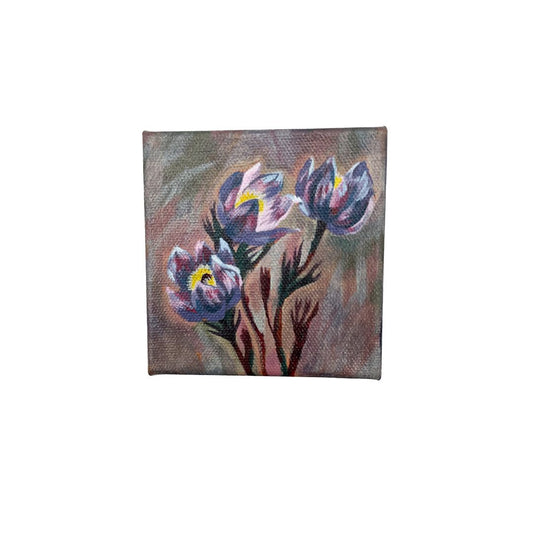 Crocuses