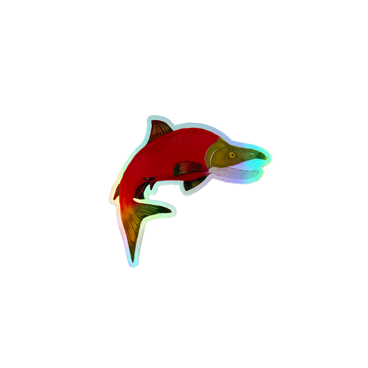 Sticker - Holographic Salmon