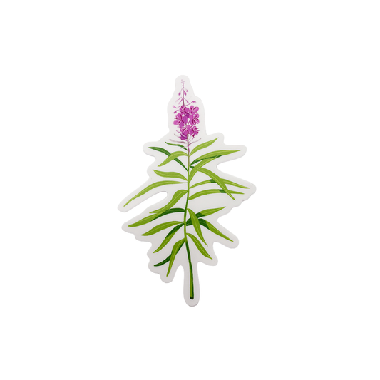 Sticker - Summer Fireweed