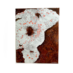 Some Find Me Uncomfortable: Placopsis Labii