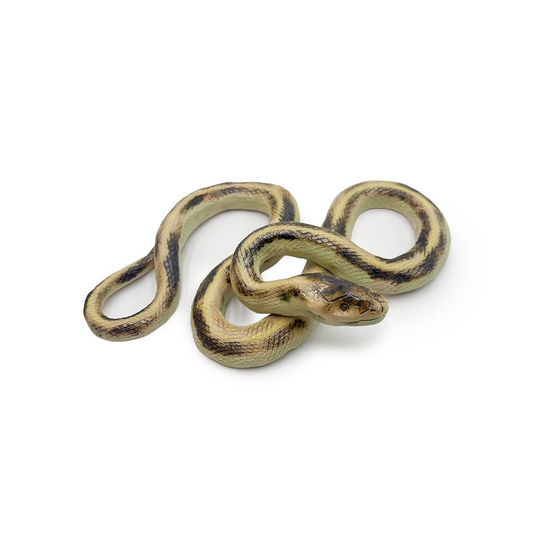 Garter Snakes