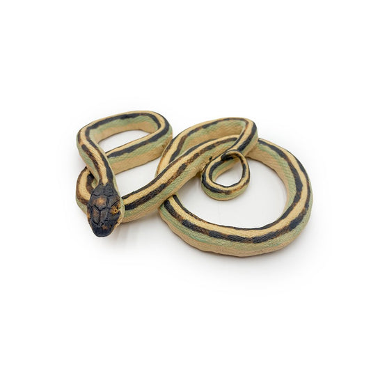 Garter Snakes