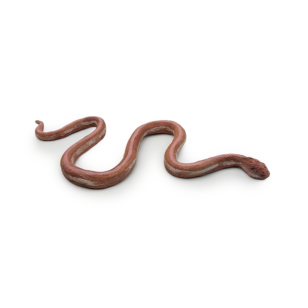 Garter Snakes