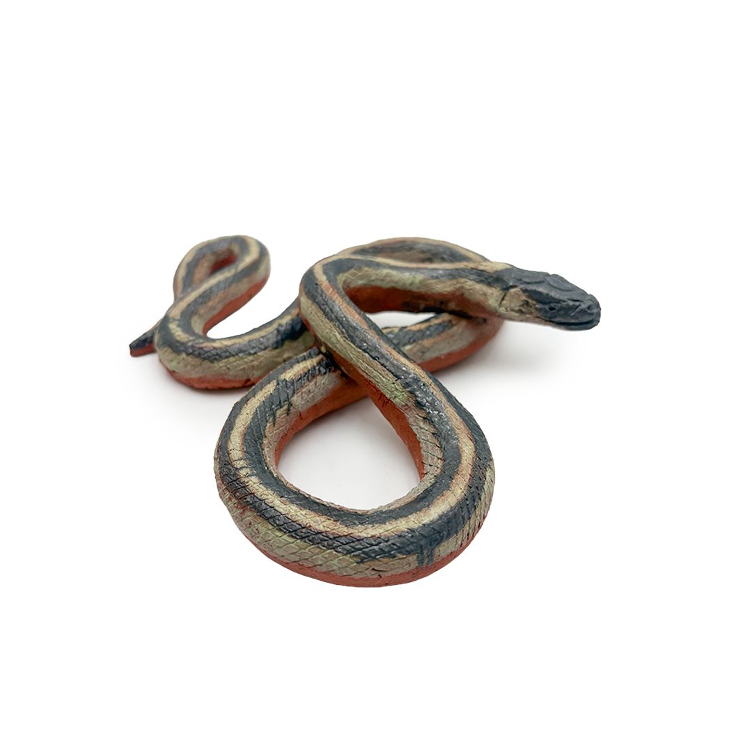 Garter Snakes