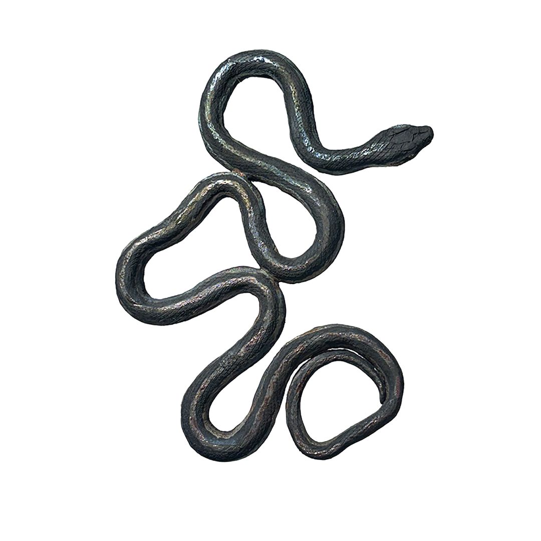 Iridescent Garter Snakes